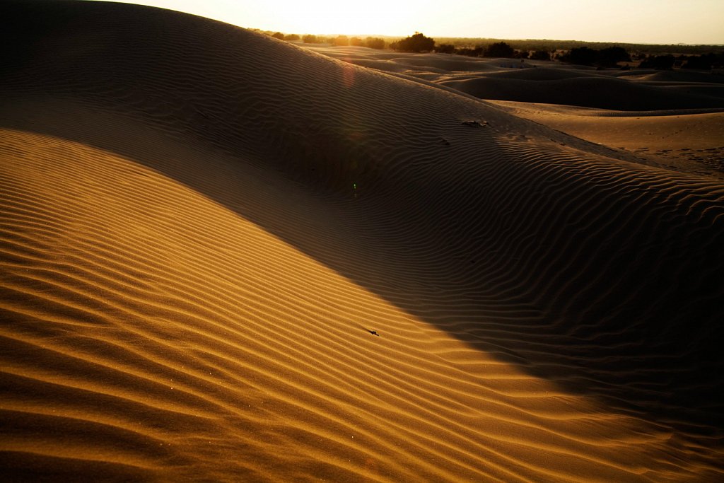 Jaisalmer - Rajasthan - India