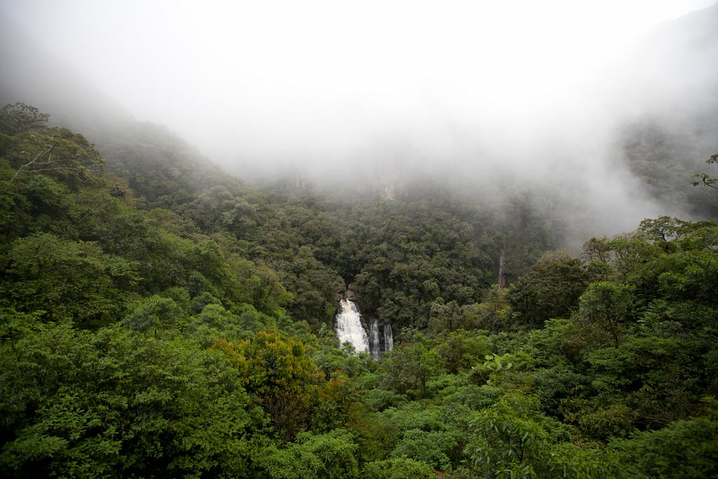 Brasil