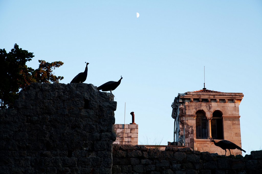 Dubrovnik - Croatia